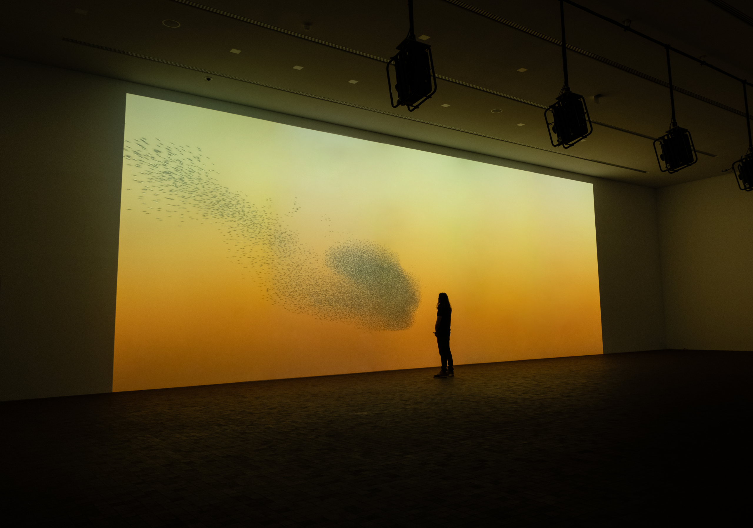 Coded Nature Opens a New Wing