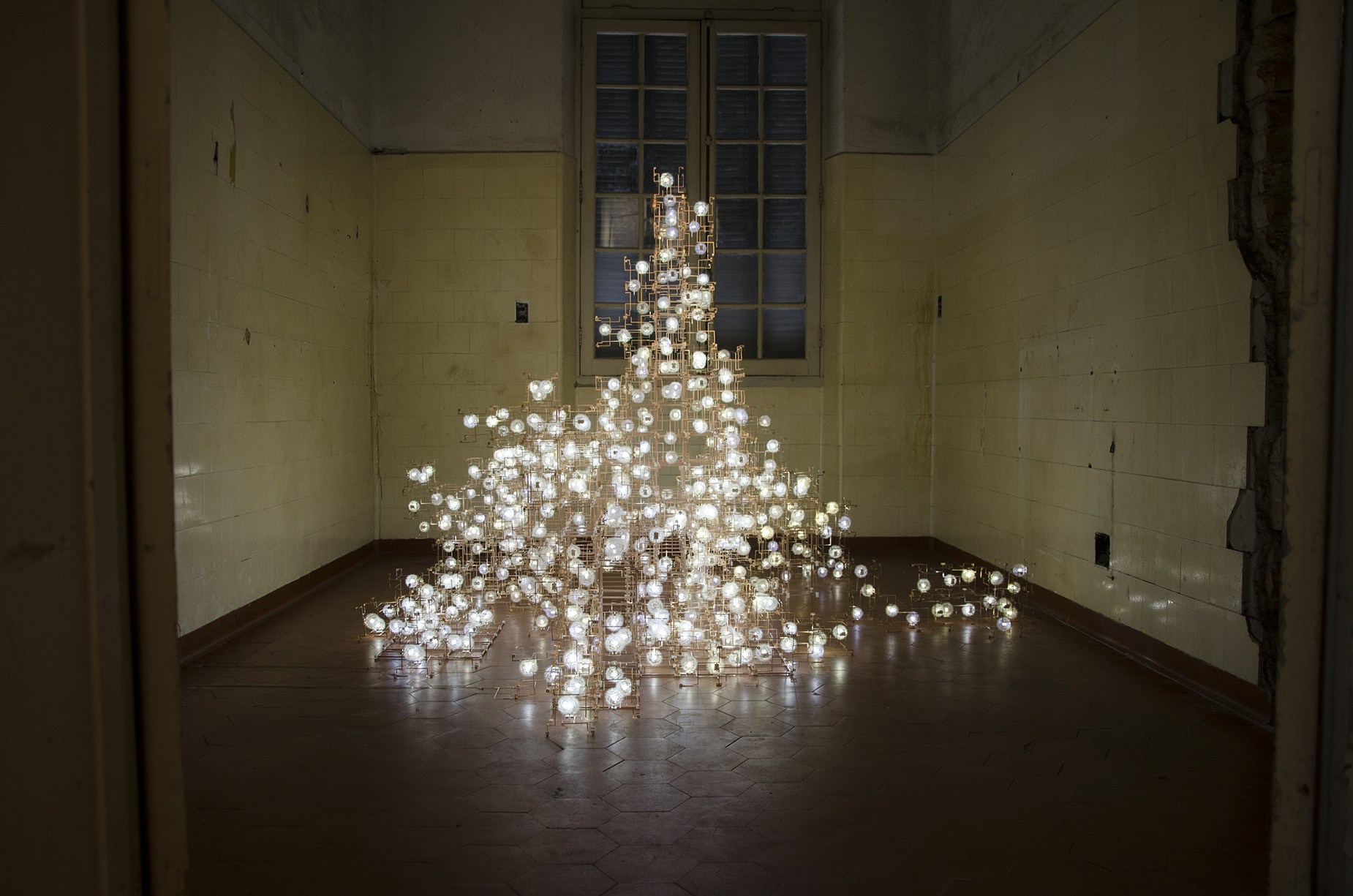 Opening Weekend — Fragile Future